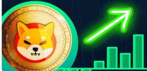 Unleashing the Power of Shiba Inu: The Next Big Thing in Crypto